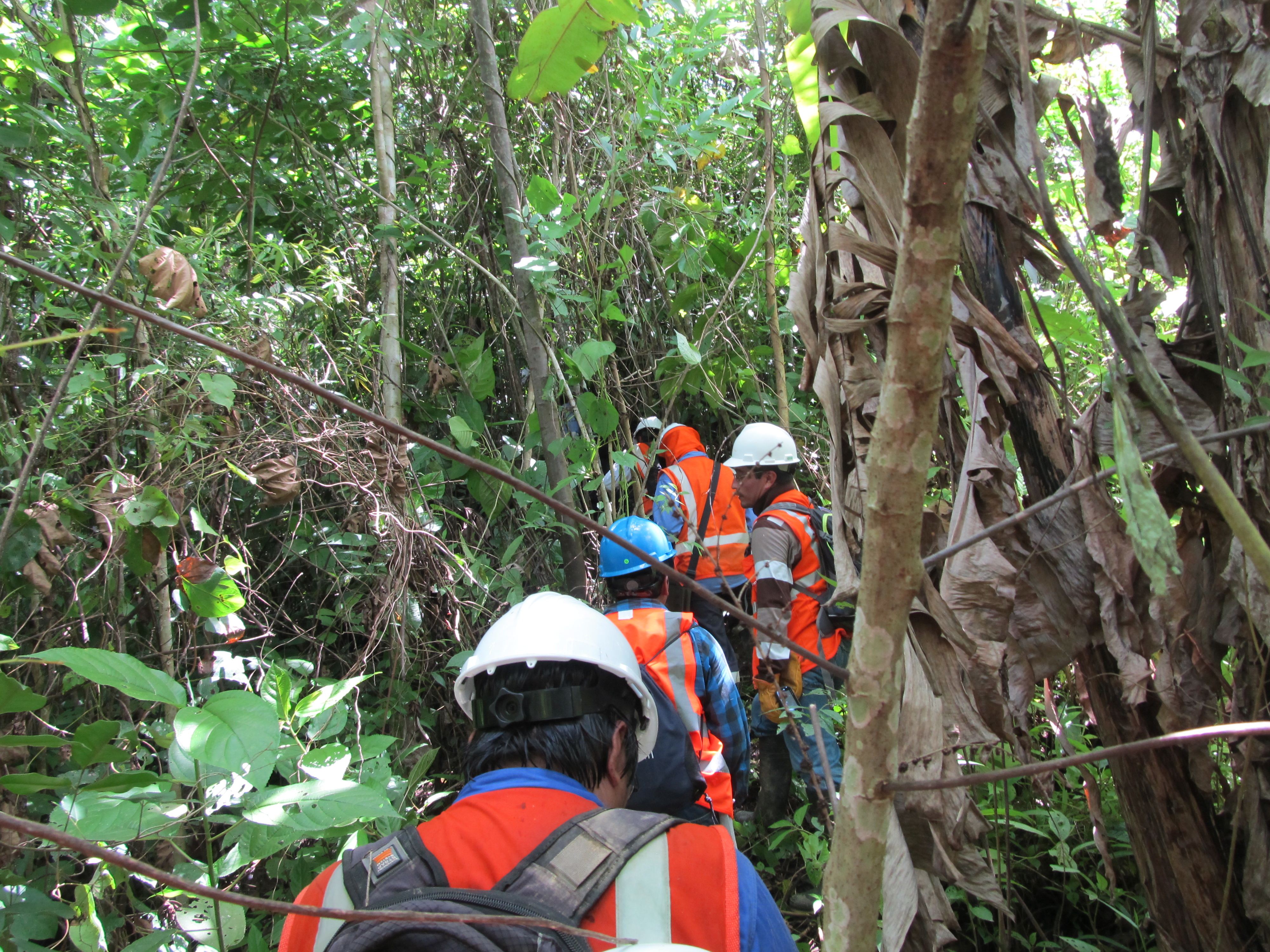 Imagen de componente ambiental